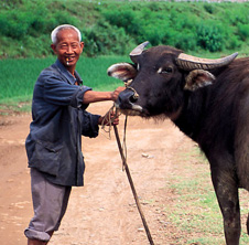 小型飼料顆粒機(jī),農(nóng)民圓夢(mèng)！